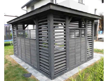 Lapene P10a